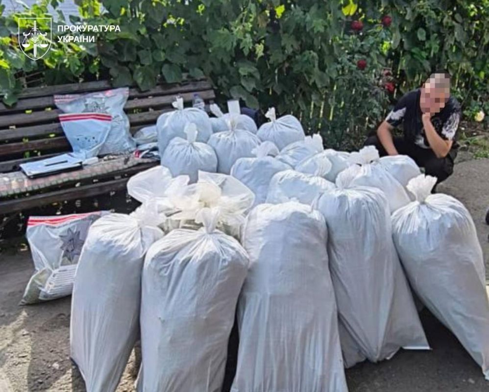  Понад тонна канабісу, майже 57 тисяч кущів конопель і 23 нарколабораторії: результати масштабної протидії наркозлочинності 