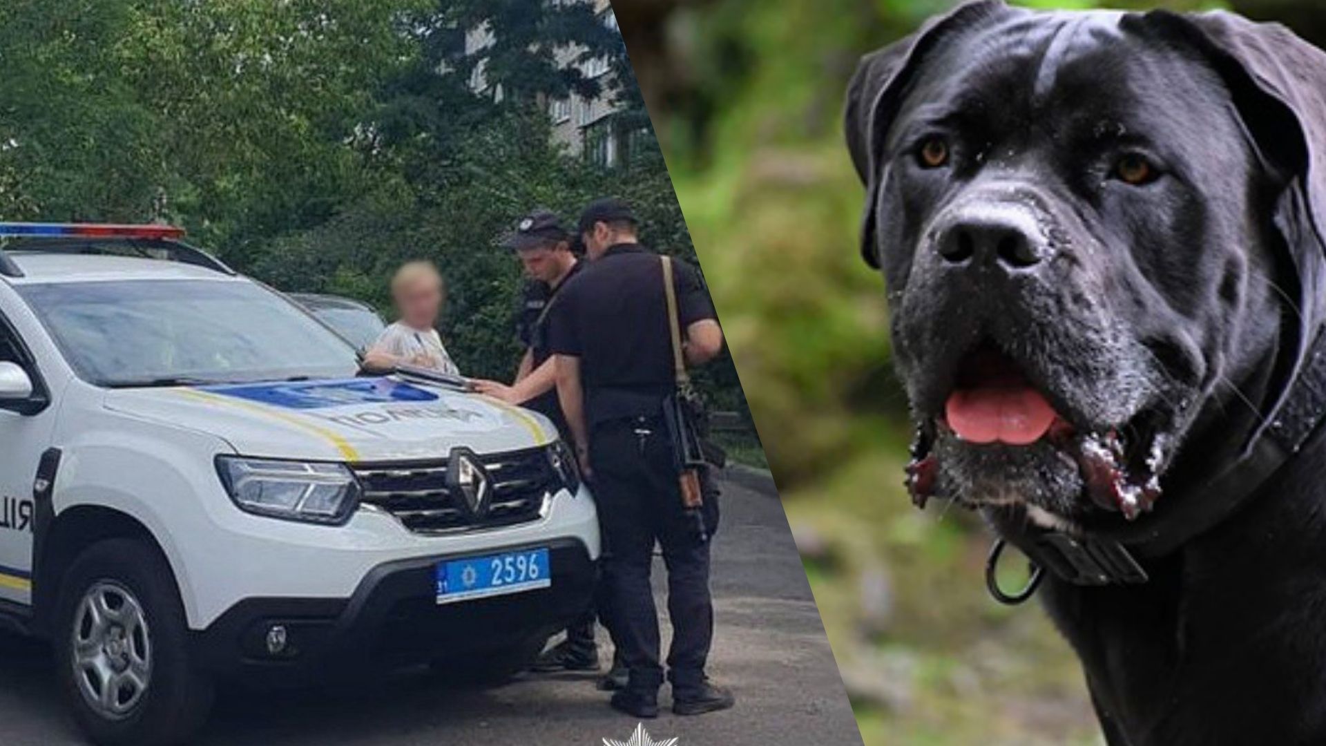  Внаслідок нападу собак загинула жінка: поліція Київщини розслідує обставини події 