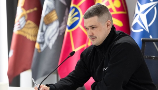  Федоров і Пісторіус обговорили пріоритетні напрямки підтримки України 