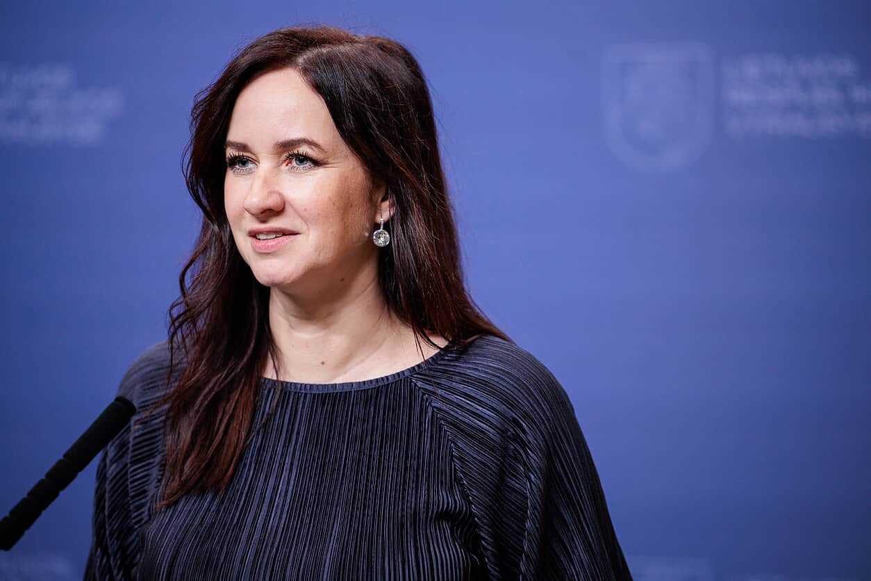  Прем'єрка Литви заперечила, що РФ навмисно спрямовує українські дрони в країни Балтії 