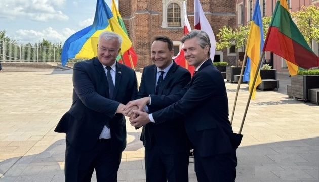  У Любліні розпочалася зустріч глав МЗС України, Литви і Польщі 