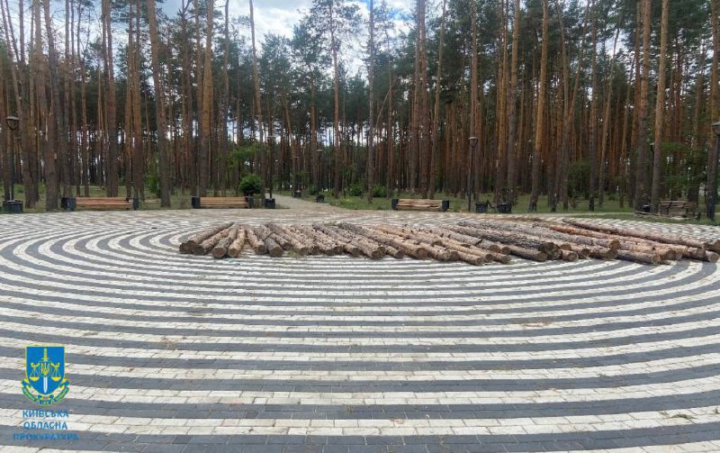  Судитимуть колишнього начальника військової адміністрації на Київщині у незаконній порубці дерев на понад півмільйона гривень 