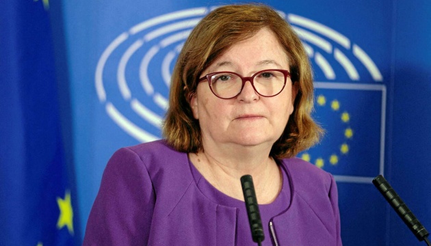  Голова безпекового підкомітету ЄП: Нестійкий мир обійдеться дорожче, ніж підтримка України зараз 