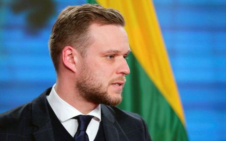  Глава МЗС Литви відреагував на заяви про порушення на виборах в Грузії 