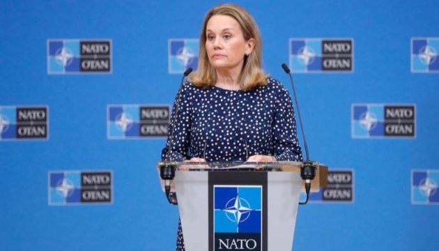  Короткострокове запрошення України до НАТО поки офіційно не розглядається - постпред США 