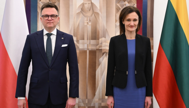  Глави сеймів Польщі та Литви зустрілися у Вільнюсі - говорили про підтримку Україну 