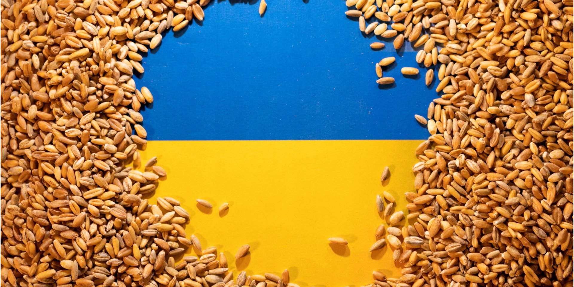  Українське зерно не ламало ринок в Польщі: експерт співставив ціни 
