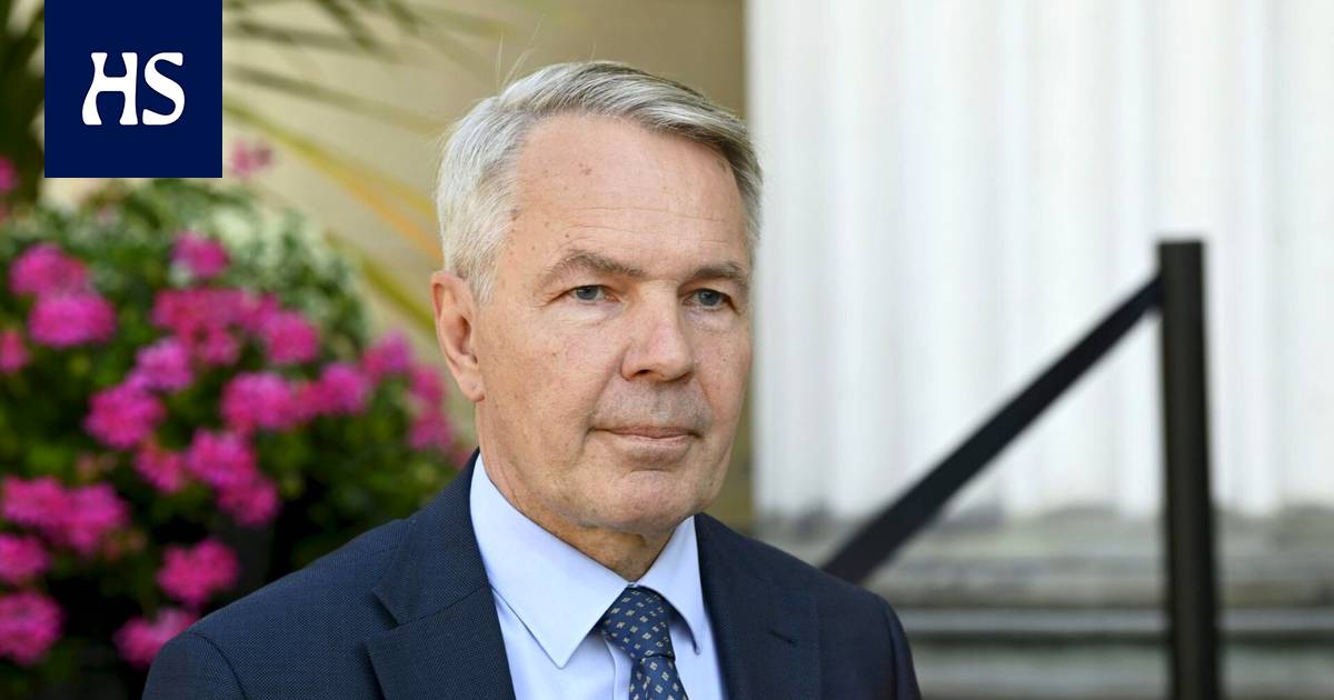  Ексглава МЗС Фінляндії лідирує серед кандидатів на пост президента 