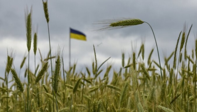  Латвія може підключитися до перевалки українського зерна 