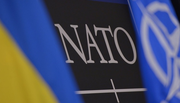  За кількістю впроваджених стандартів НАТО Україна обходить деяких членів Альянсу — Міноборони 