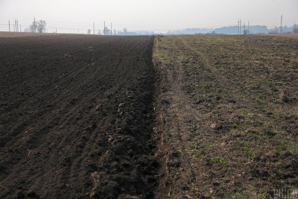  Ціни на землю в Україні зростають: в уряді назвали області з найціннішими гектарами 