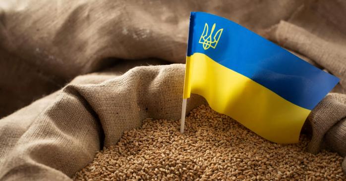  Польща заборонила ввезення зерна та іншого продовольства з України 