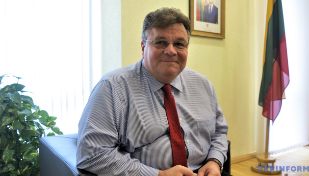  Лінкявічюс закликав не сприймати фальшивих закликів до миру між росією та Україною 