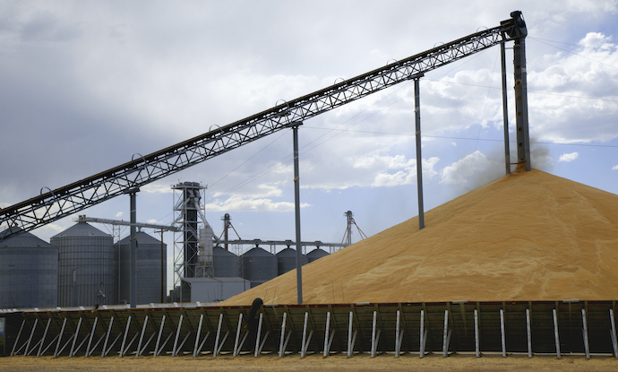  США надасть близько 20 мільйонів доларів на програму Grain from Ukraine, оголошену Зеленським під час G20 