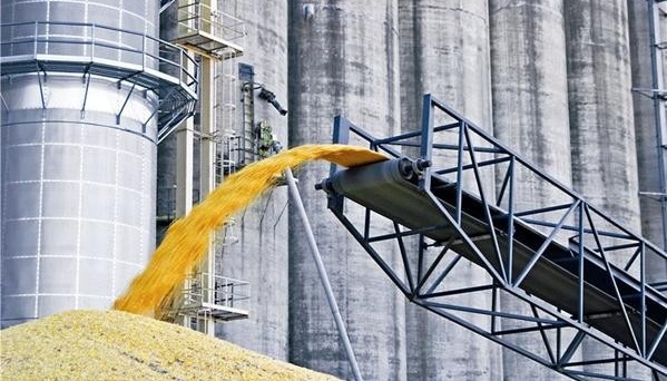  Загальні втрати агросектору України внаслідок агресії рф перевищують $30 мільярдів – експерт 