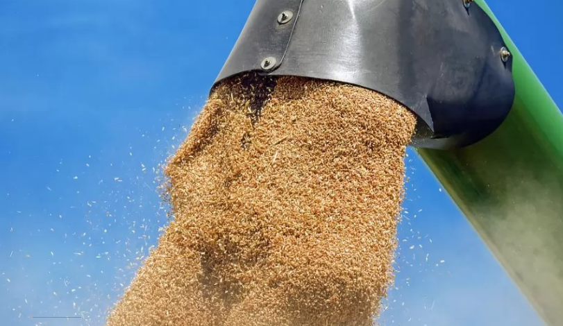  У липні експорт агропродукції збільшився на 12% до 3 млн тонн, - УКАБ 