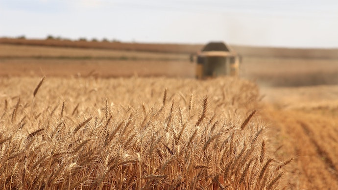 Світові ціни на продукти побили рекорд за 10 років через пшеницю – ООН 