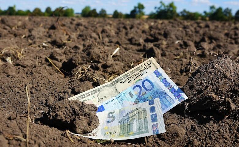  Дороже польской: в МинАПК озвучили цену за гектар в Украине после открытия рынка земли 