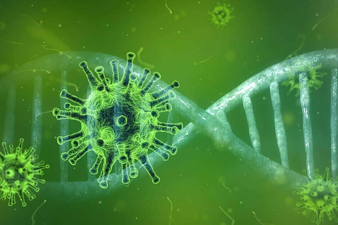  В Израиле заявили о прорыве в создании вакцины от COVID-19 