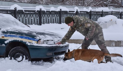 Семеро столичних кінологів зі службовими собаками успішно пройшли навчання та отримали профільні сертифікати