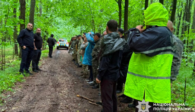 Понад добу тривали пошуки 70-річного чоловіка в лісі