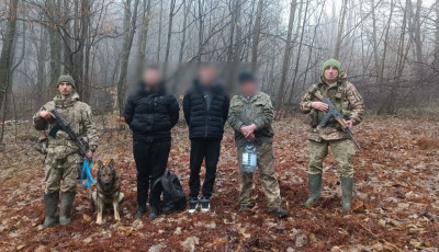 На Закарпатті собака винюхав у лісі ухилянтів, яких вів сивий дід