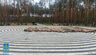 Судитимуть колишнього начальника військової адміністрації на Київщині у незаконній порубці дерев на понад півмільйона гривень