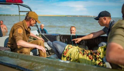 В Херсонской области отдыхающие с полицейскими спасли дельфина