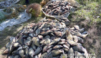Поліцейські вилучили у браконьєрів риби на понад 200 тисяч гривень на Кіровоградщині 