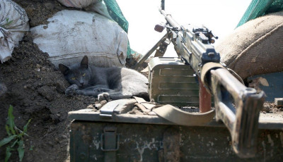 Украинские военные сбили вооруженный российский беспилотник