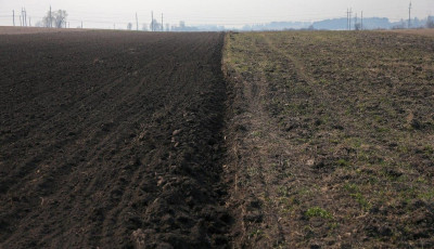 Ціни на землю в Україні зростають: в уряді назвали області з найціннішими гектарами