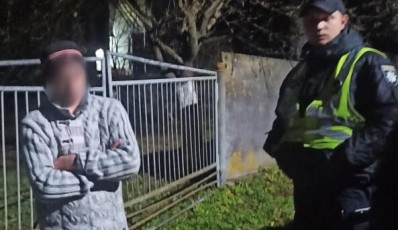 На Львівщині чоловік вбив свою 60-річну матір