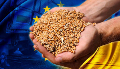 Для України життєво необхідно відновити без обмежень експорт зерна до ЄС - Шмигаль