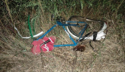 В Херсонской области грузовик сбил велосипедиста