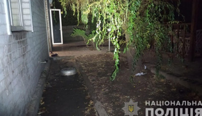 В Харькове пять мастифов загрызли женщину