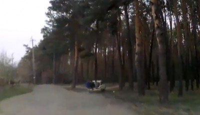 На Сумщине пьяный водитель перевозил троих пассажиров в багажнике (ВИДЕО)  