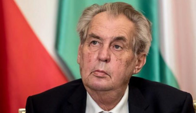 Земан по состоянию здоровья может быть лишен президентских полномочий
