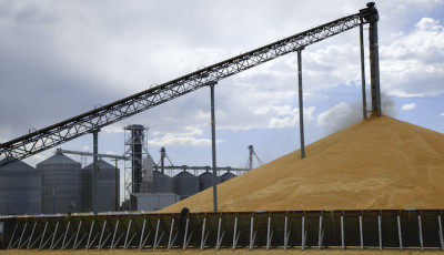 США надасть близько 20 мільйонів доларів на програму Grain from Ukraine, оголошену Зеленським під час G20