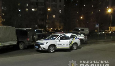 Столичні правоохоронці затримали іноземця за крадіжку з автомобіля