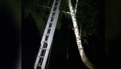 Во Львовской области ребенок влез на восьмиметровое дерево, спасаясь от буллинга