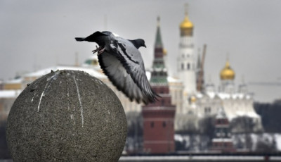 Росія заблокувала декларацію міністрів G20 із засудженням війни проти України — ЗМІ