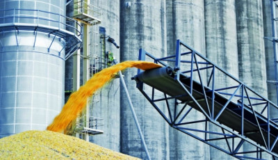 Україна організувала шляхи експорту зерна через Румунію та Польщу