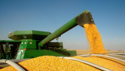 Україна експортувала вже 17,8 мільйона тонн зерна