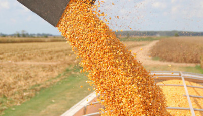 Товарообіг сільгосппродукцією між Україною та Францією торік сягнув $750 мільйонів