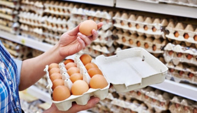 Оптові ціни на курячі яйця знизились на 10%