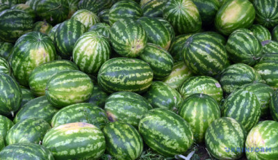 В Україні рекордно знижуються ціни на кавун - EastFruit
