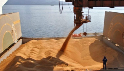 Експорт агропродукції «зерновим коридором» за тиждень зріс на 7%