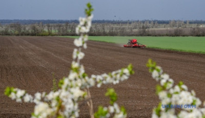 Українські аграрії засіяли вже 2 мільйони гектарів ярих зернових