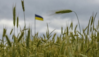 Латвія може підключитися до перевалки українського зерна