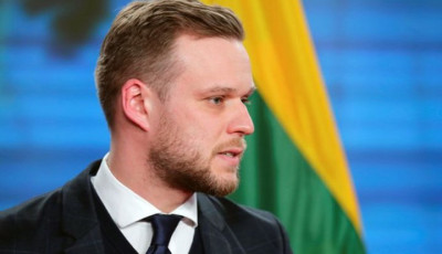Глава МЗС Литви відреагував на заяви про порушення на виборах в Грузії